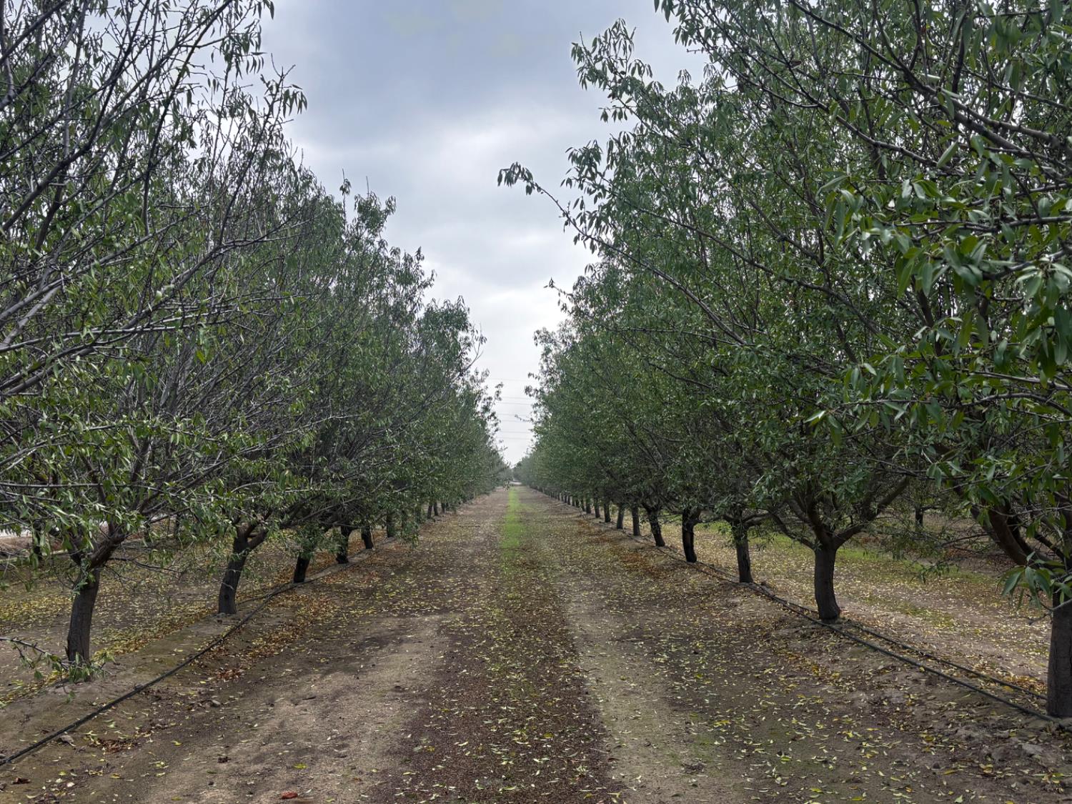 32380 Avenue 10, Madera, CA 93636