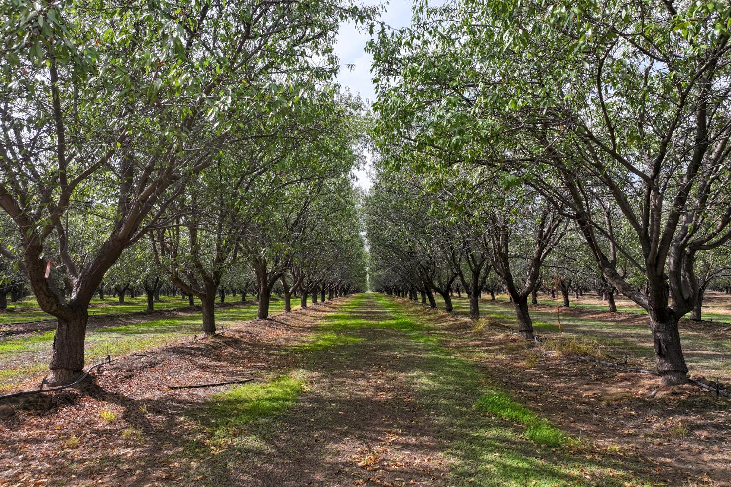 0 0 Kyte Rd, Delano, CA 93215