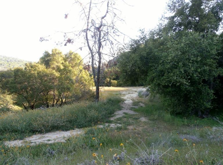 37 38 Lynx Ln, Prather, CA 93651