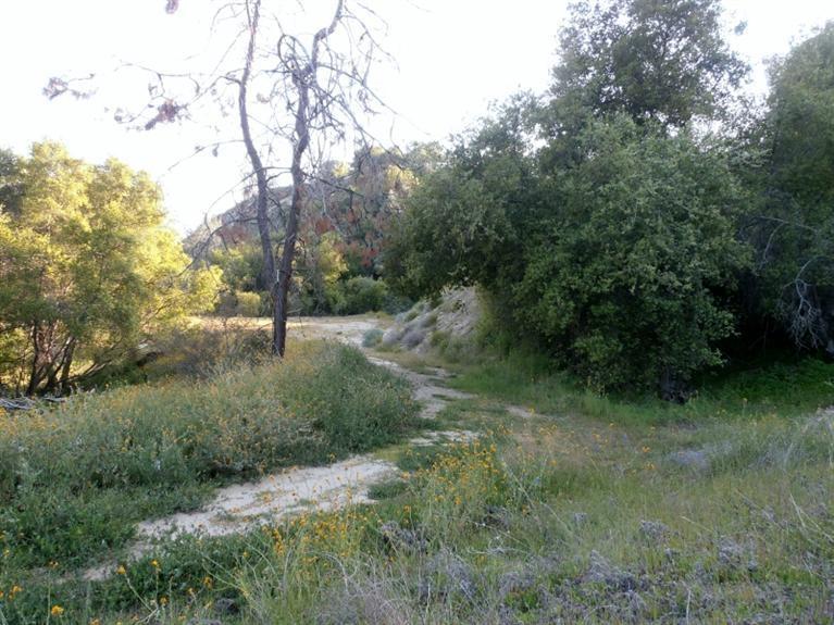 37 38 Lynx Ln, Prather, CA 93651