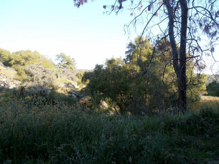 37 38 Lynx Ln, Prather, CA 93651