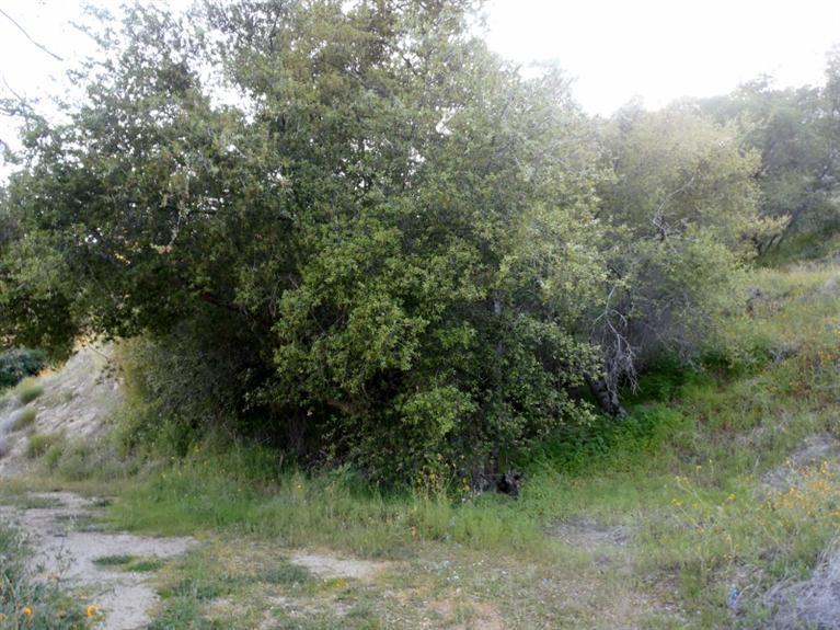 37 38 Lynx Ln, Prather, CA 93651