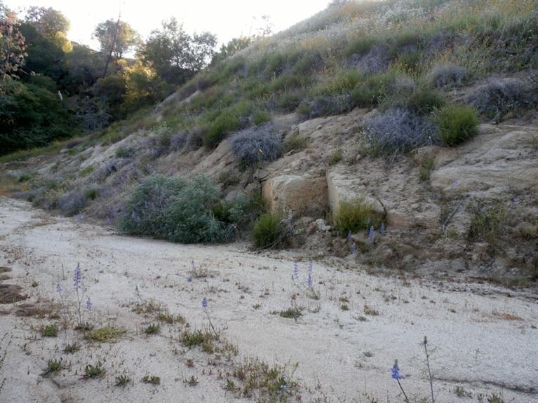 37 38 Lynx Ln, Prather, CA 93651