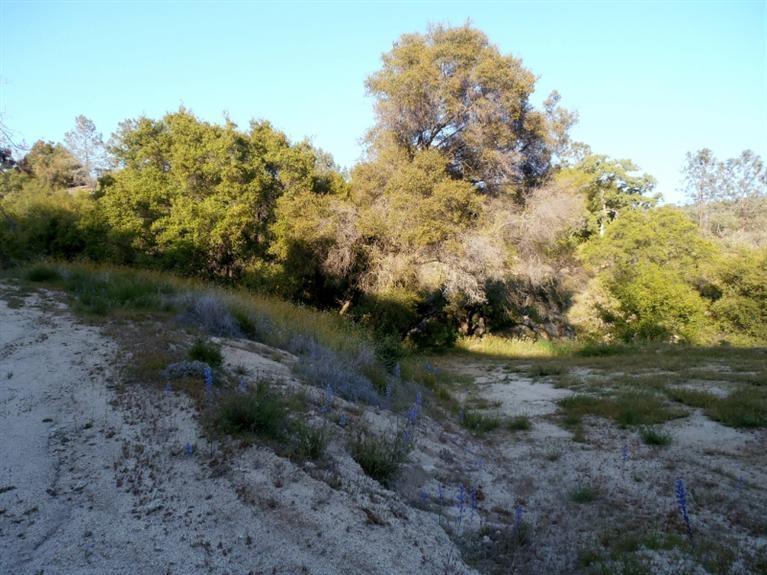 37 38 Lynx Ln, Prather, CA 93651