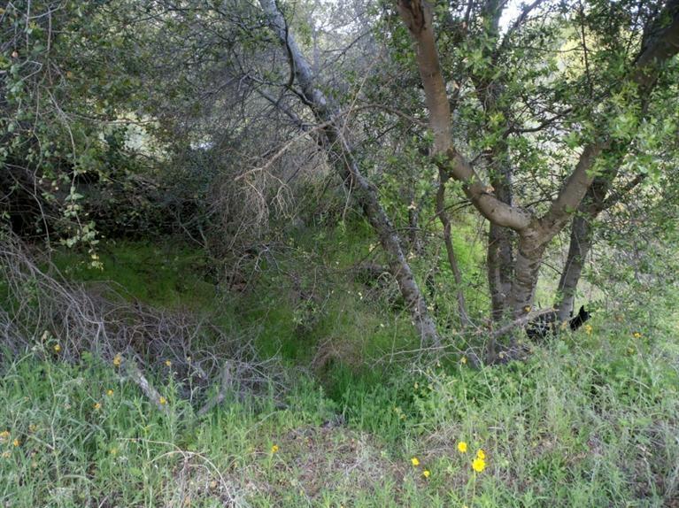 37 38 Lynx Ln, Prather, CA 93651