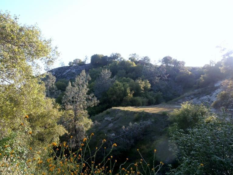 37 38 Lynx Ln, Prather, CA 93651