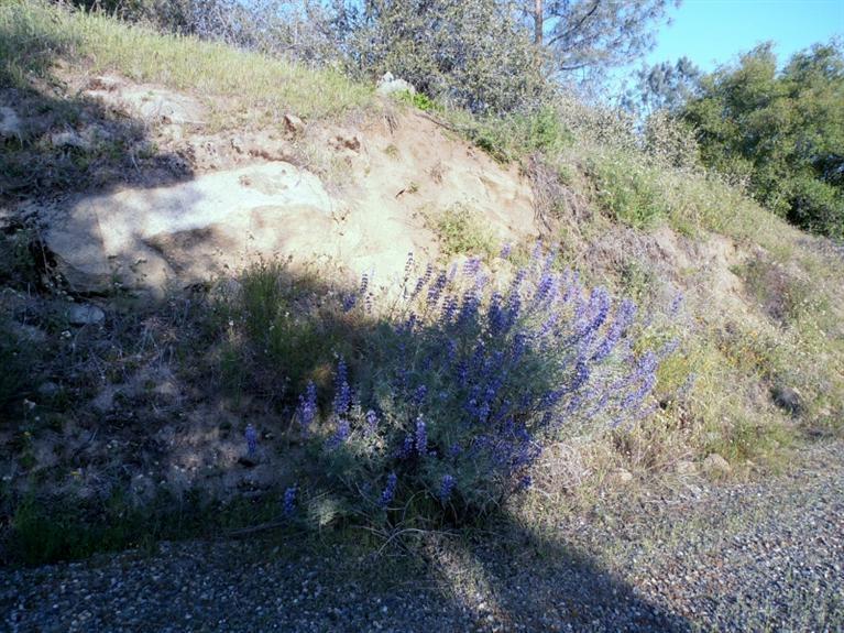 37 38 Lynx Ln, Prather, CA 93651