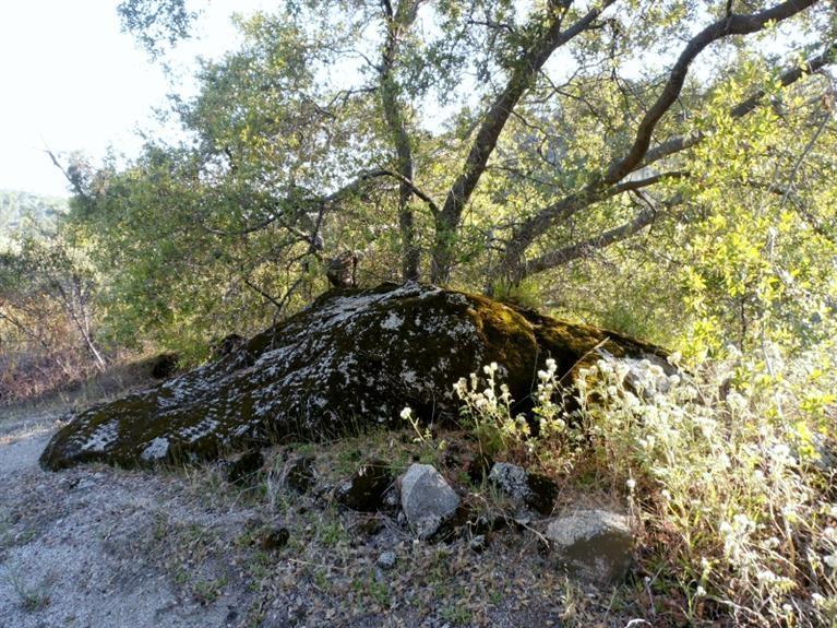 37 38 Lynx Ln, Prather, CA 93651