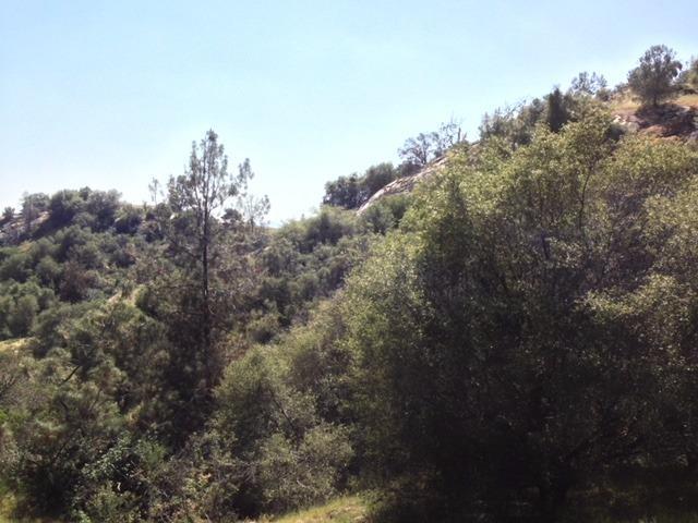 37 38 Lynx Ln, Prather, CA 93651