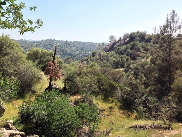 37 38 Lynx Ln, Prather, CA 93651