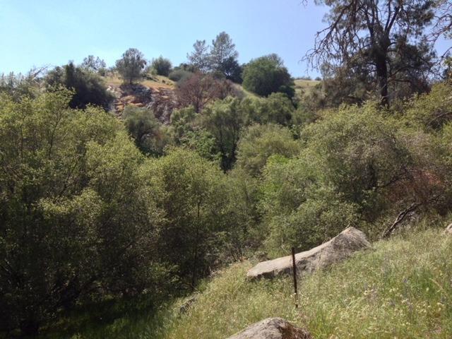 37 38 Lynx Ln, Prather, CA 93651