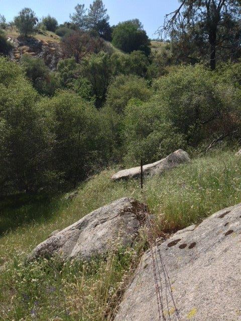 37 38 Lynx Ln, Prather, CA 93651