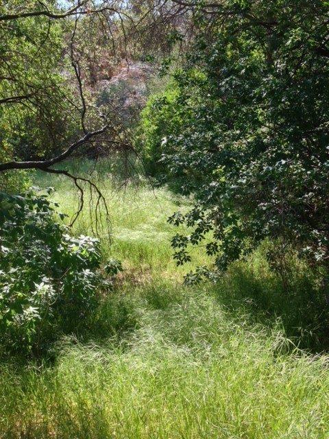 37 38 Lynx Ln, Prather, CA 93651