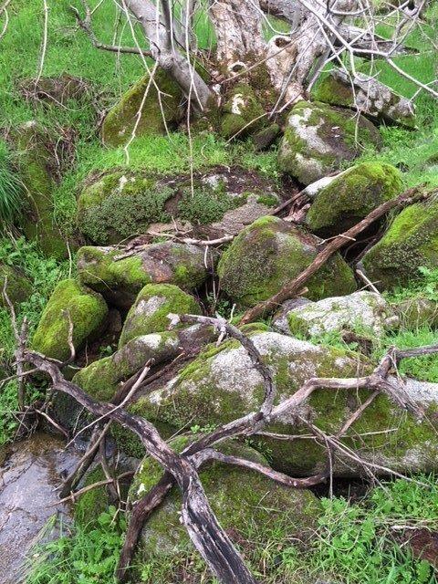 37 38 Lynx Ln, Prather, CA 93651