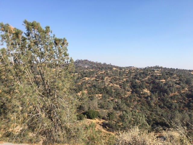 37 38 Lynx Ln, Prather, CA 93651