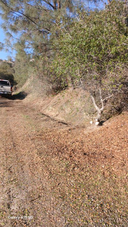 37 38 Lynx Ln, Prather, CA 93651