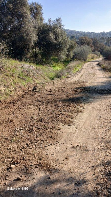 37 38 Lynx Ln, Prather, CA 93651