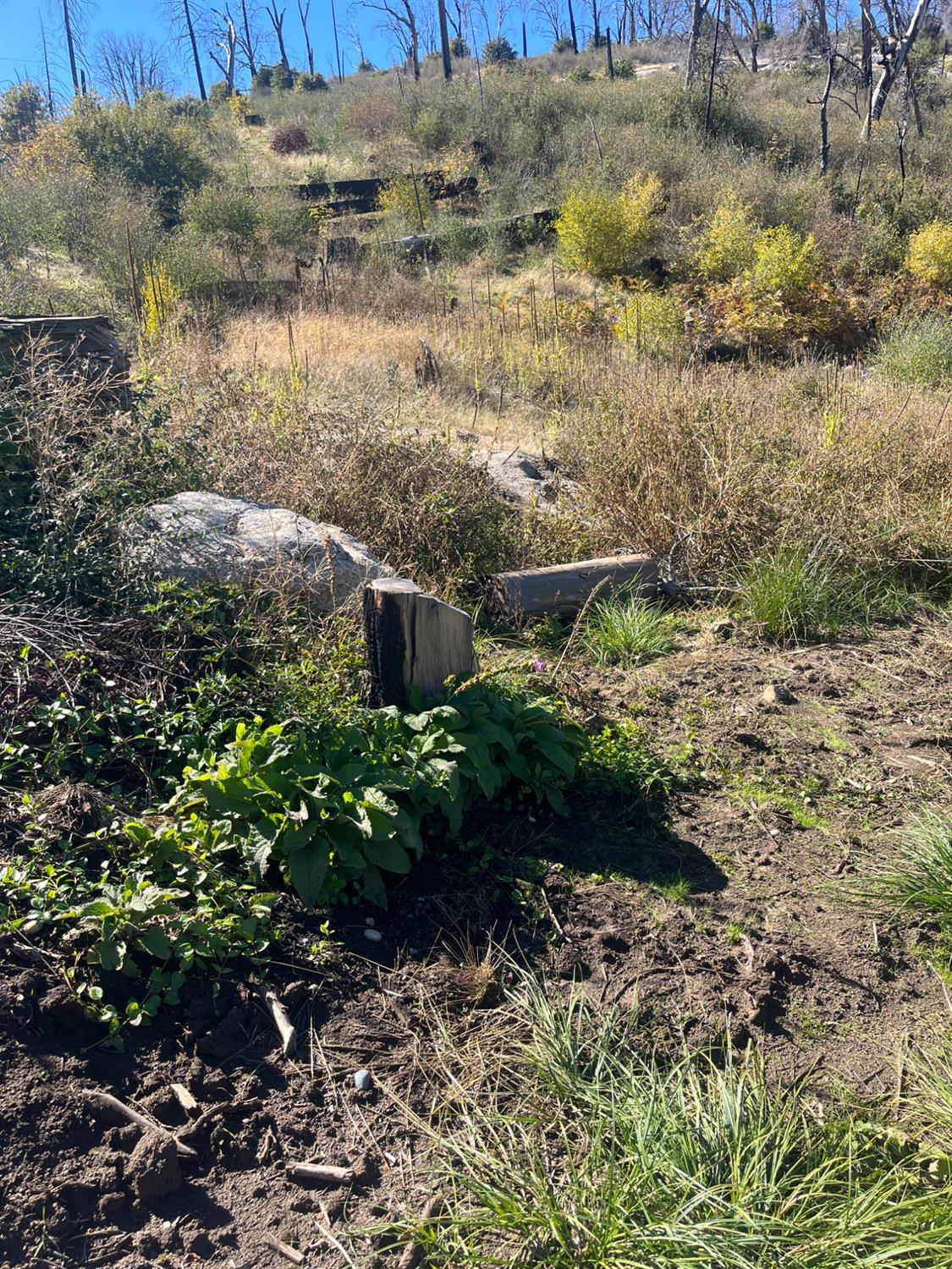 43548 Alder Springs Rd, Auberry, CA 93602