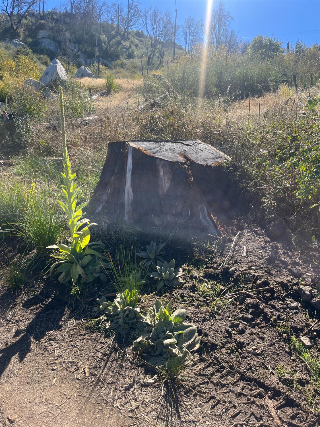 43548 Alder Springs Rd, Auberry, CA 93602