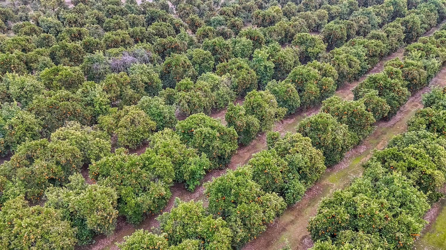 14721 E Tulare Ave, Sanger, CA 93657