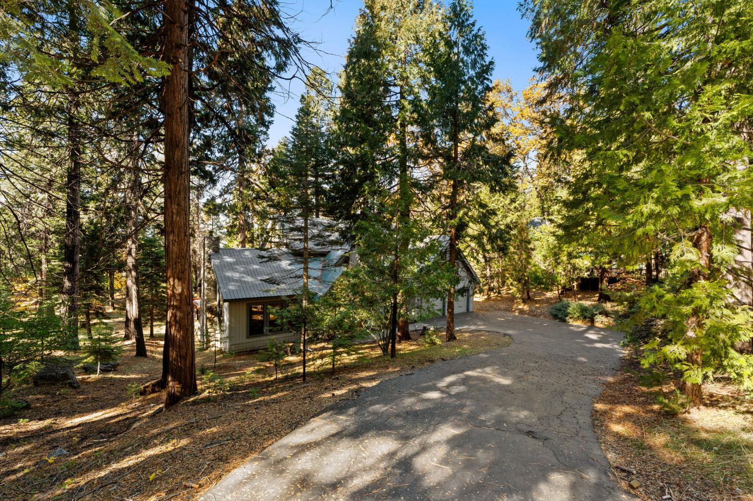 41811 Gray Rock Rd, Shaver Lake, CA 93664