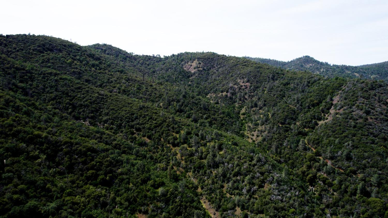 2 Road 200, Coarsegold, CA 93614