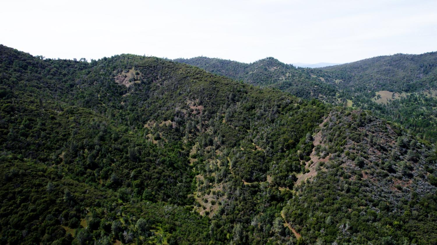 2 Road 200, Coarsegold, CA 93614