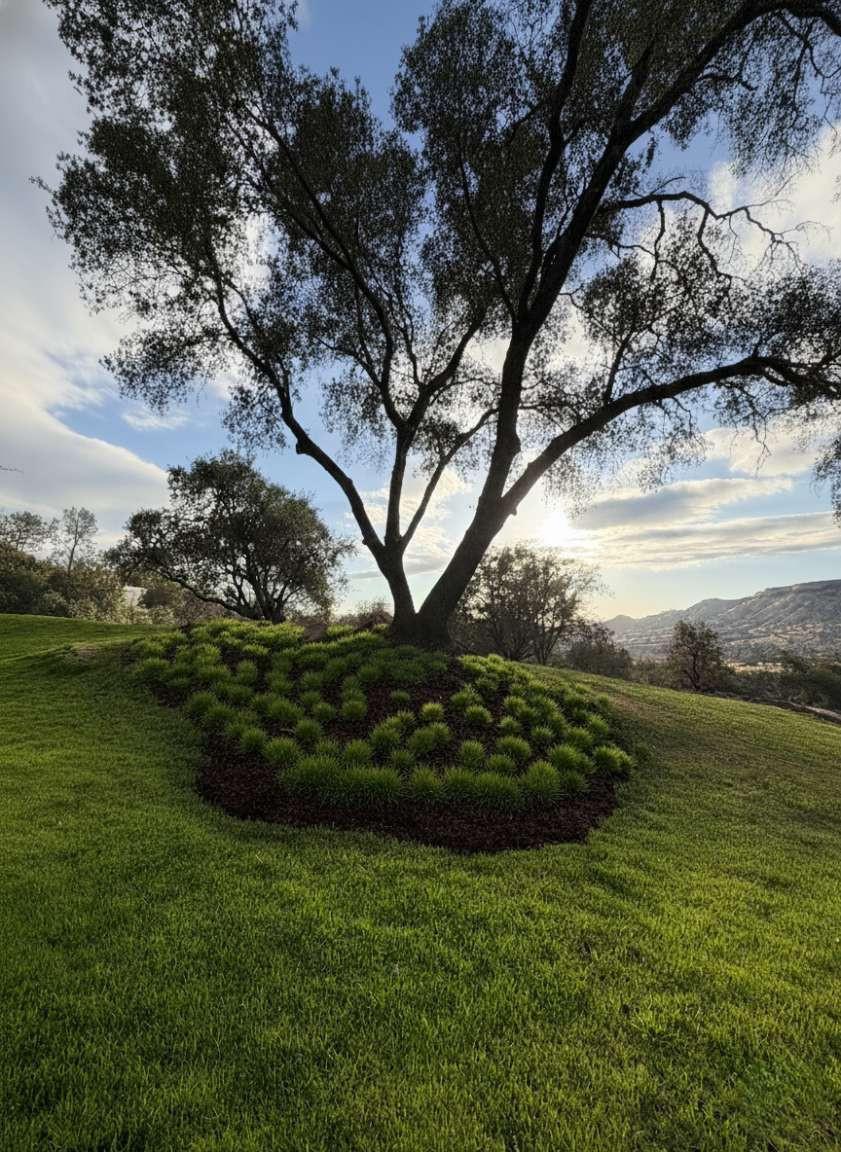 23224 Granite Creek Ln, Clovis, CA 93619