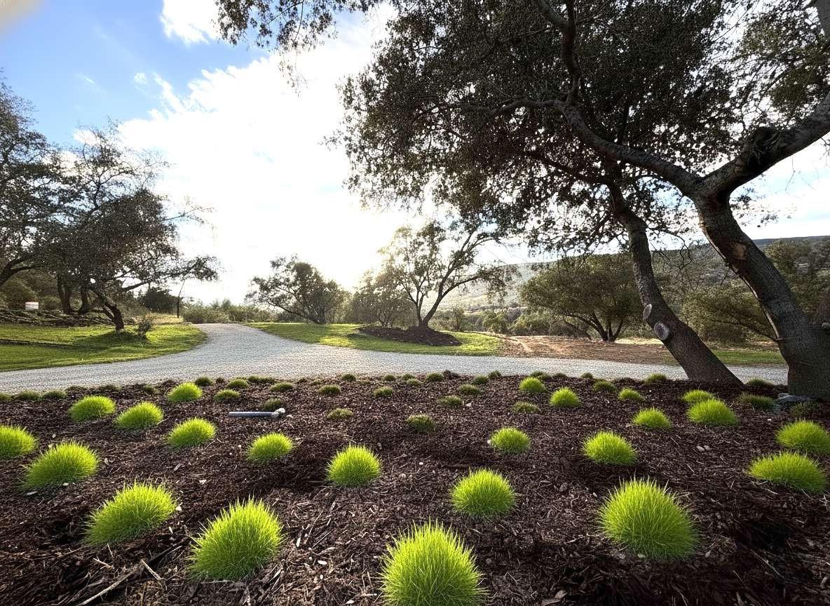 23224 Granite Creek Ln, Clovis, CA 93619