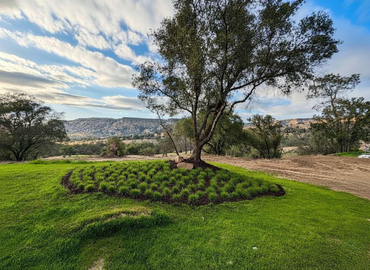 23224 Granite Creek Ln, Clovis, CA 93619