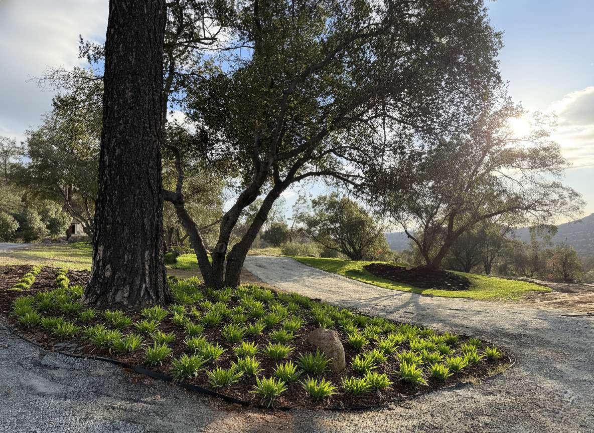 23224 Granite Creek Ln, Clovis, CA 93619