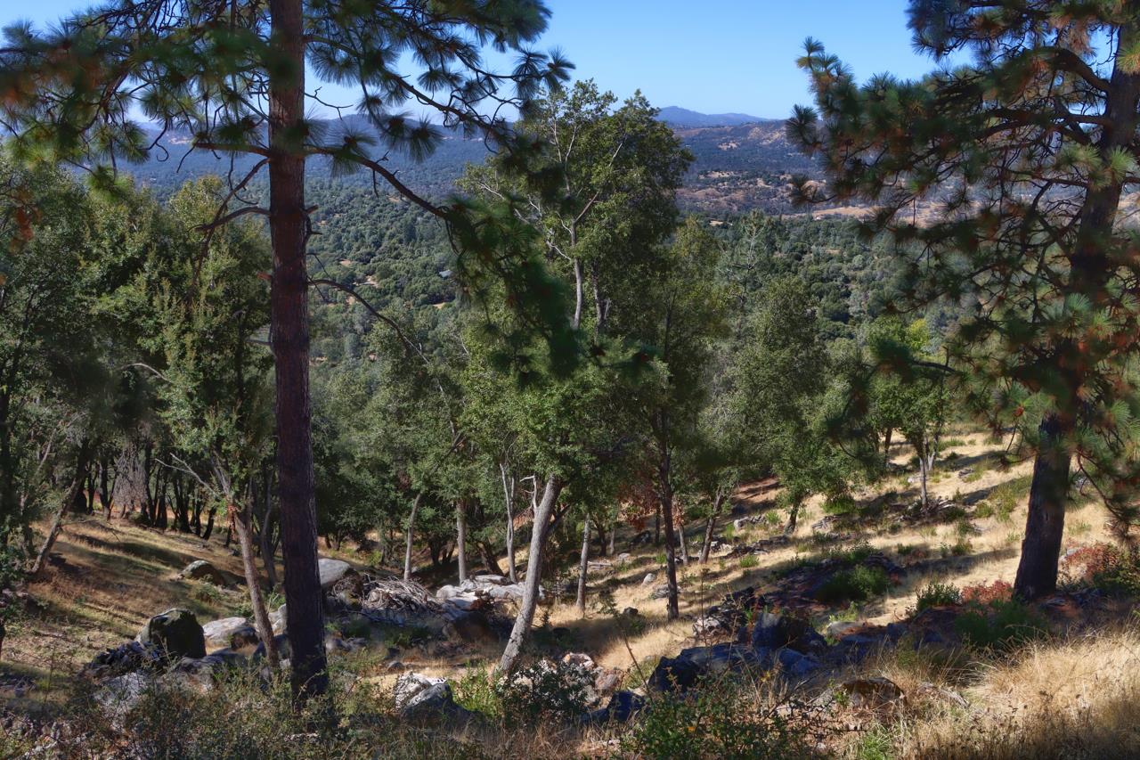 5635 Clouds Rest, Mariposa, CA 95338