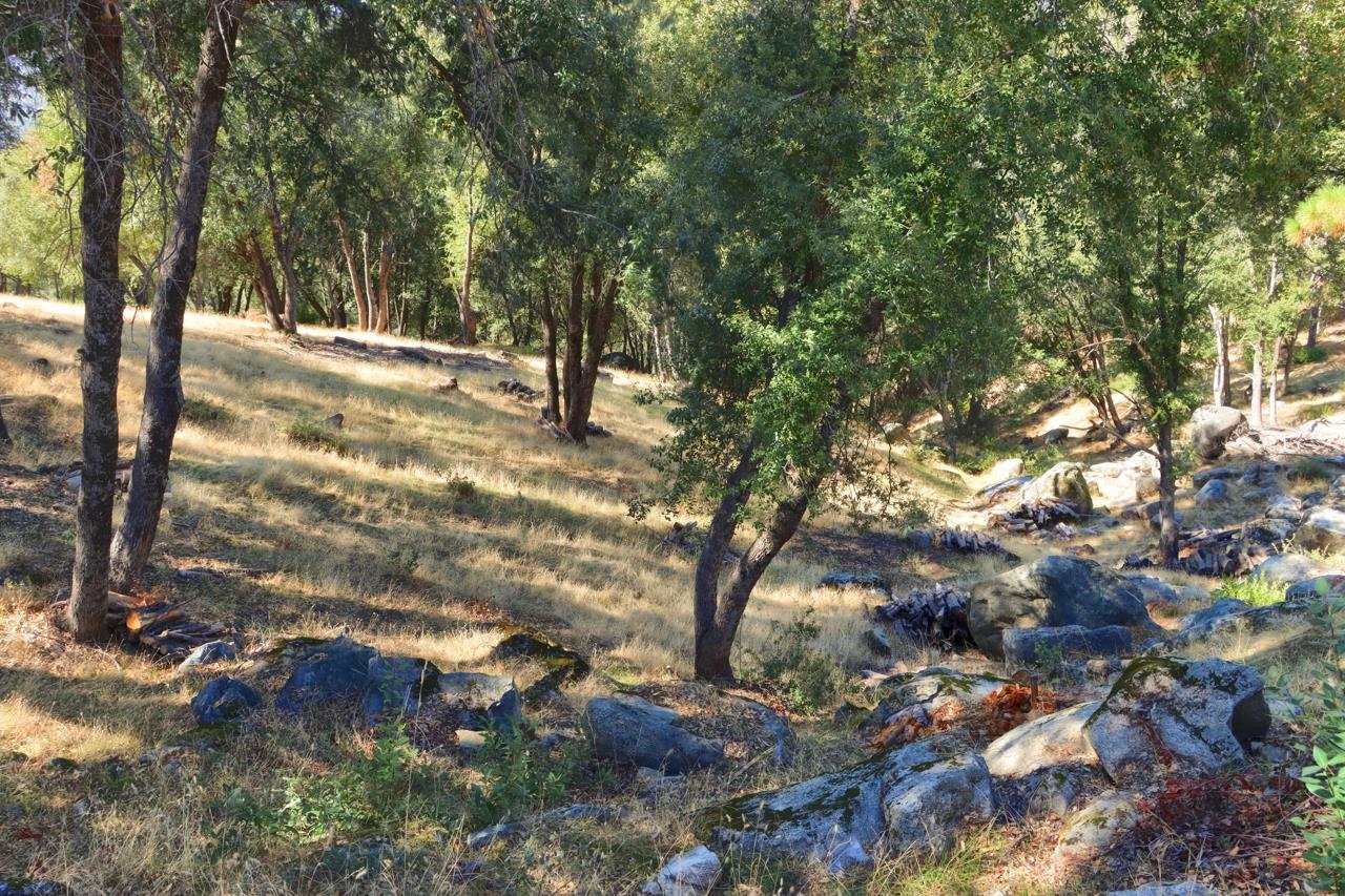 5635 Clouds Rest, Mariposa, CA 95338