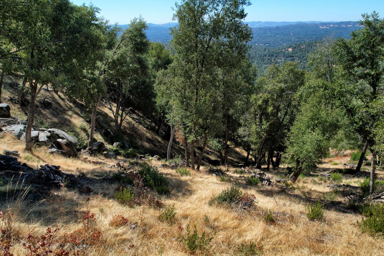 5635 Clouds Rest, Mariposa, CA 95338