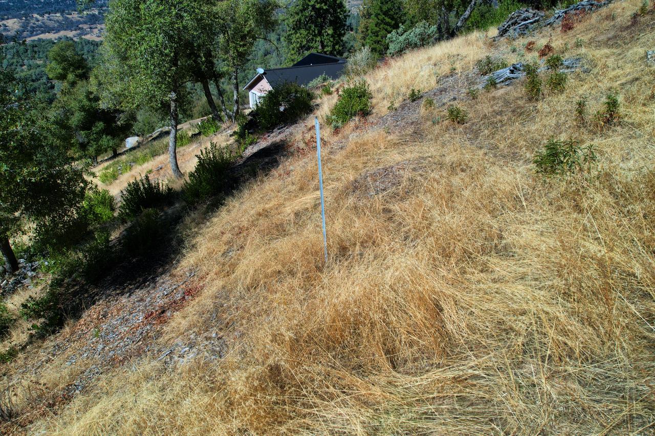 5635 Clouds Rest, Mariposa, CA 95338