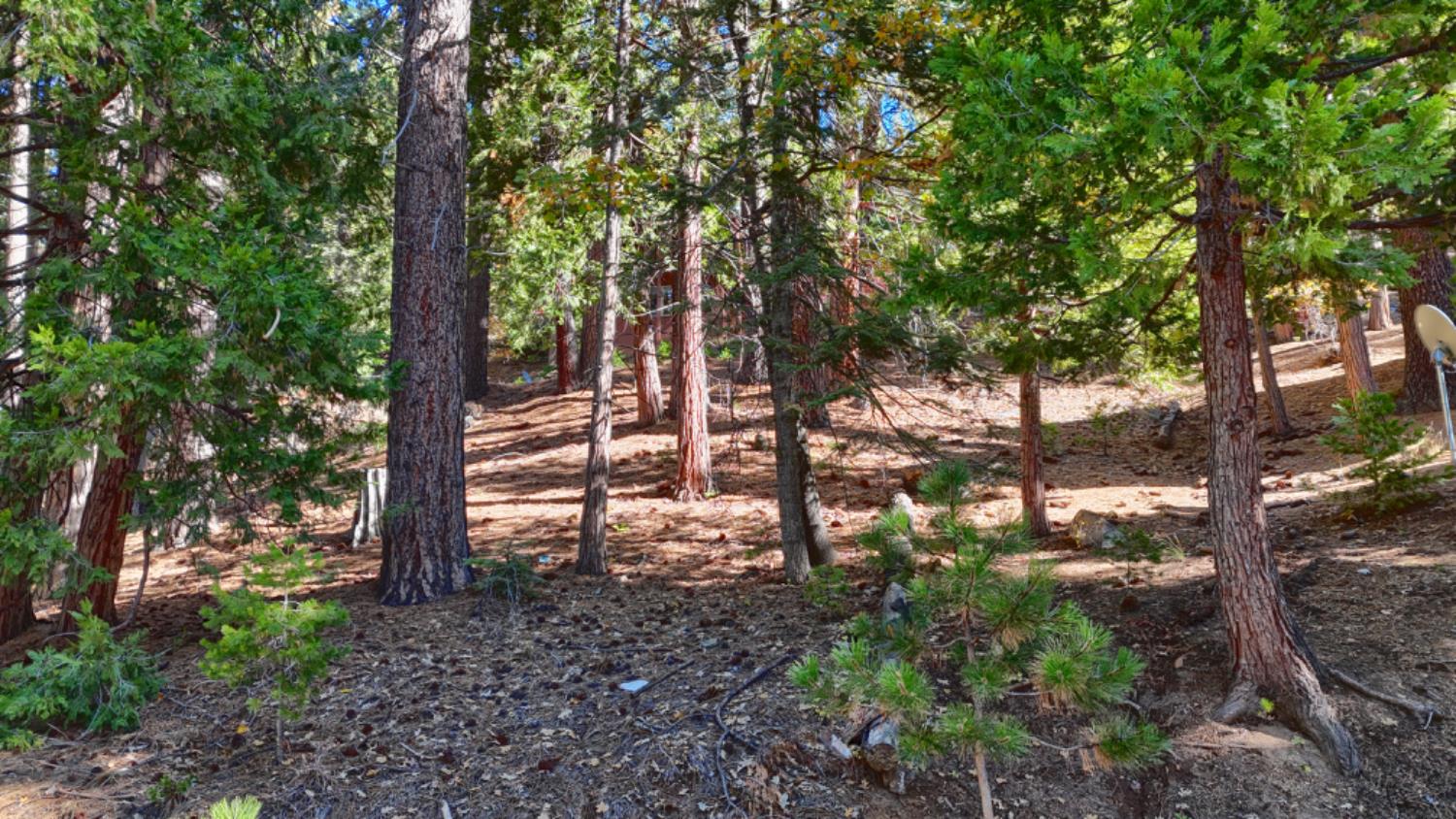 7232 Yosemite Park Way, Yosemite West, CA 95389