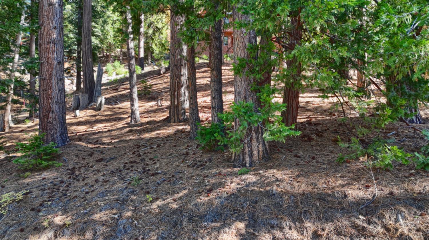 7232 Yosemite Park Way, Yosemite West, CA 95389