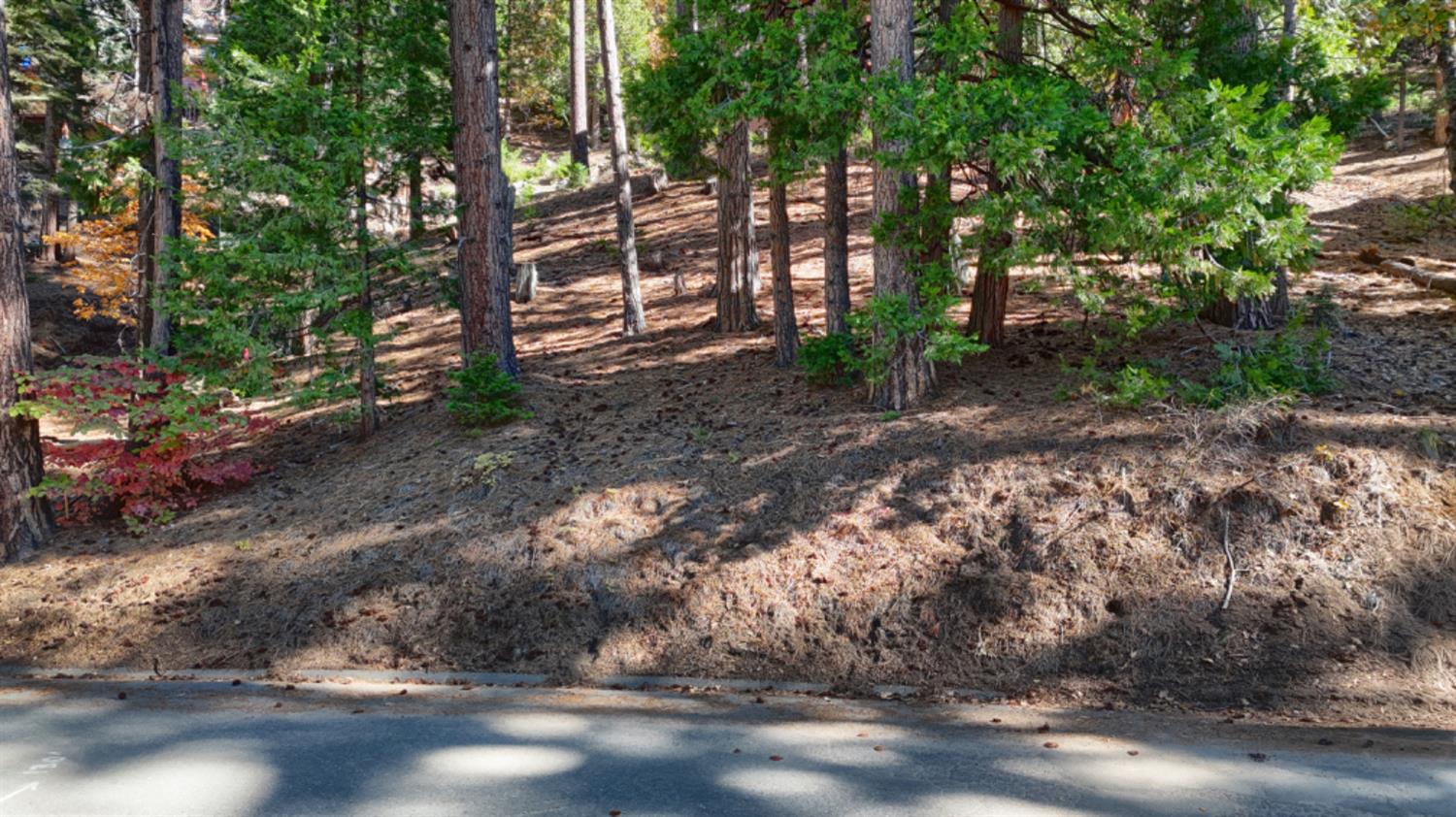 7232 Yosemite Park Way, Yosemite West, CA 95389