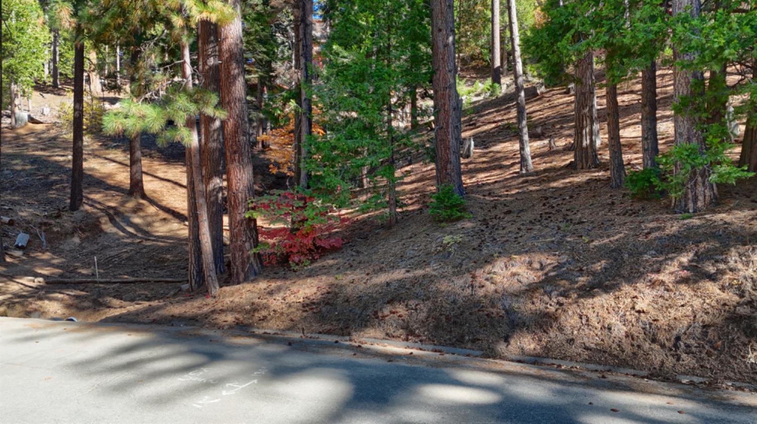 7232 Yosemite Park Way, Yosemite West, CA 95389