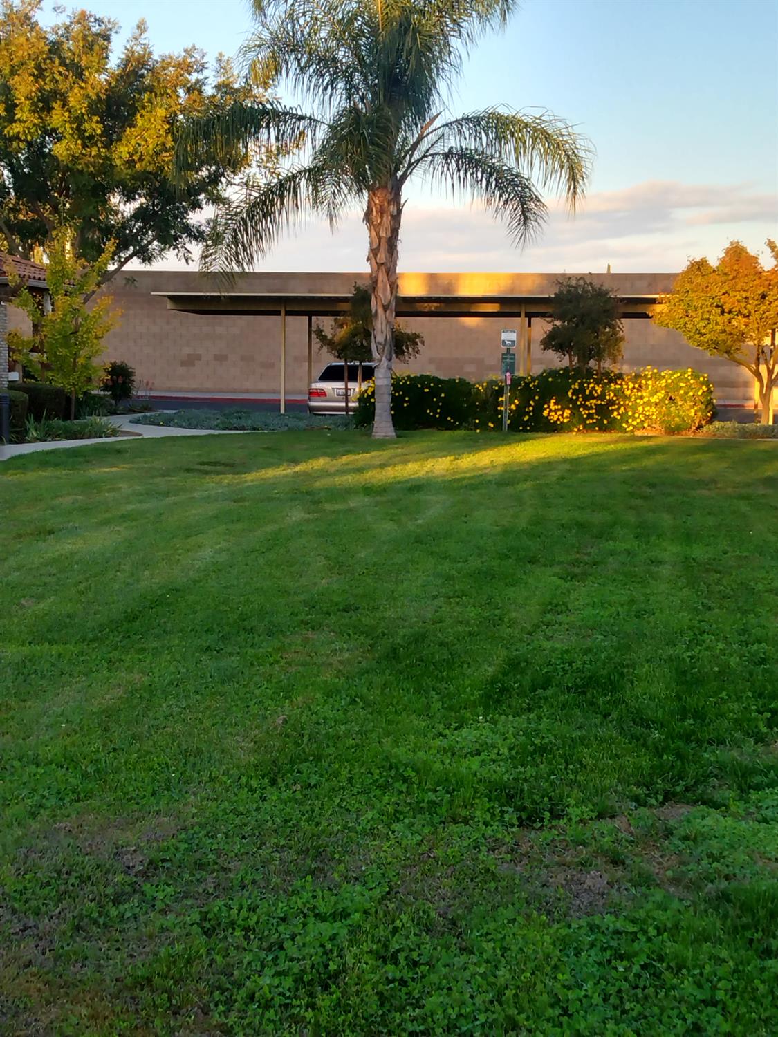 1128 W W. Walter Ave #64, Fowler, CA 93625