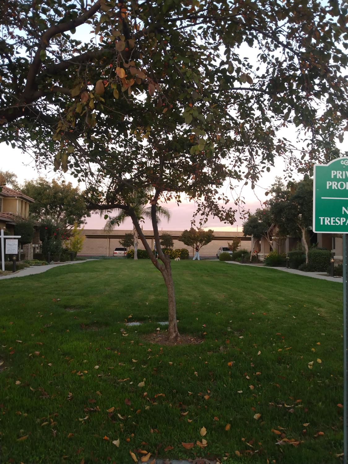 1128 W W. Walter Ave #64, Fowler, CA 93625