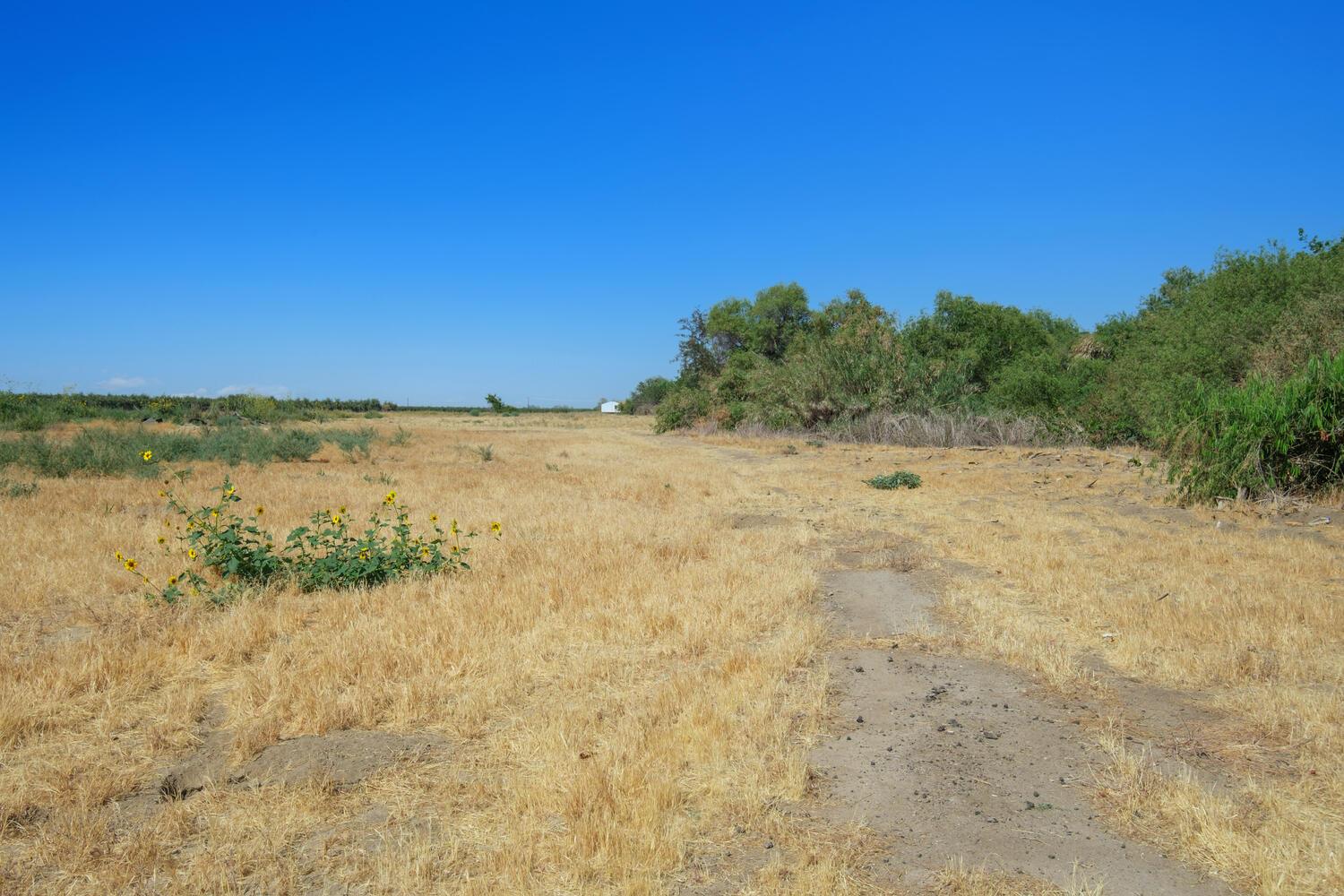 1188 7 1/2 Ave, Kingsburg, CA 93631