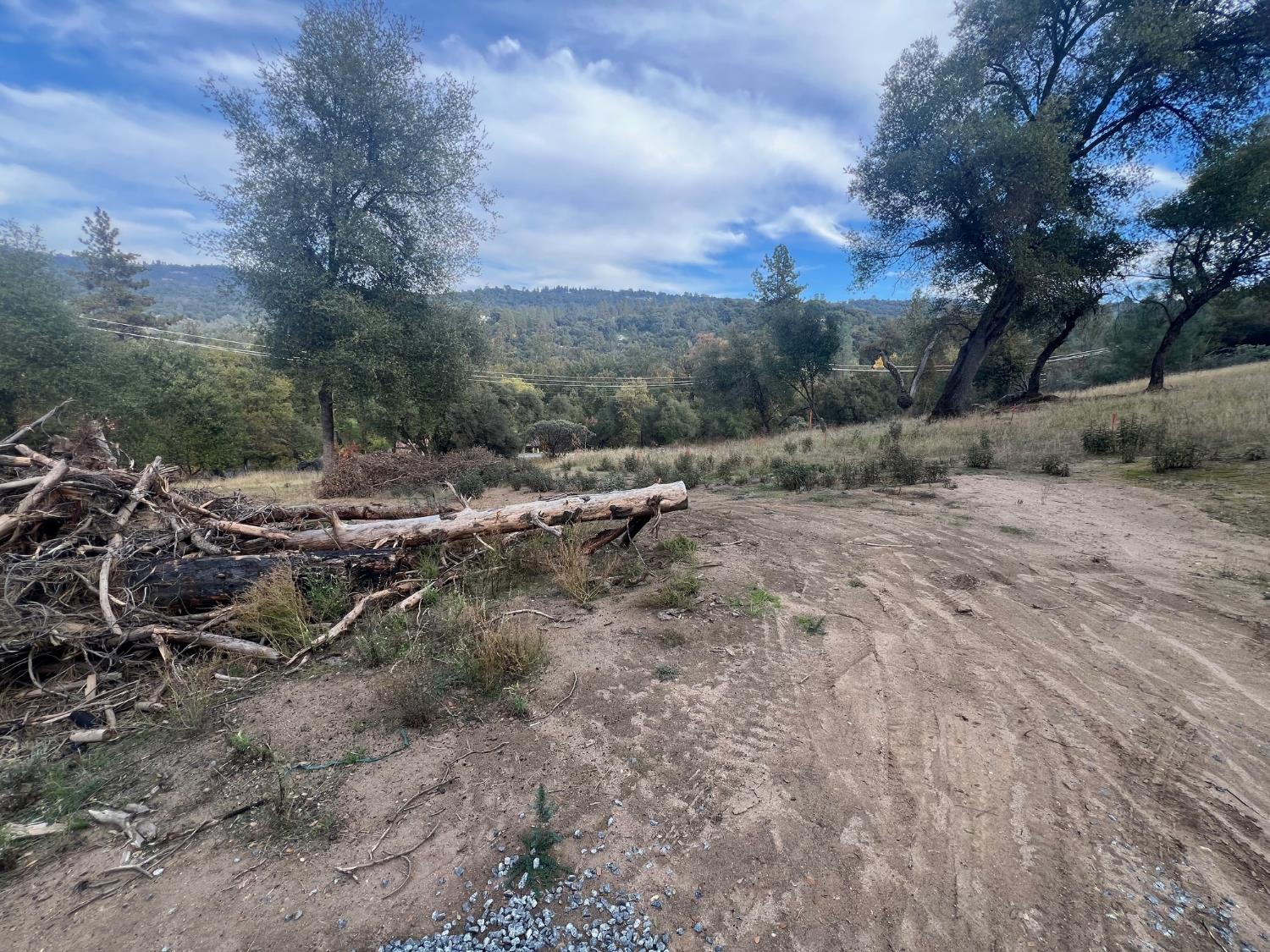 1 Hangtree Ct, Oakhurst, CA 93644