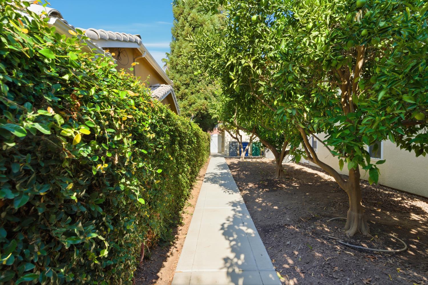 3492 Tragon St, Madera, CA 93637