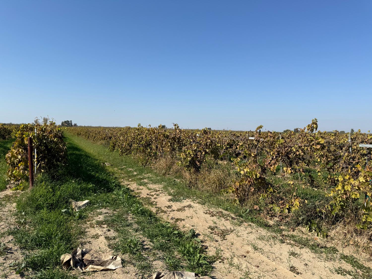 10285 S Orange Ave, Fresno, CA 93725