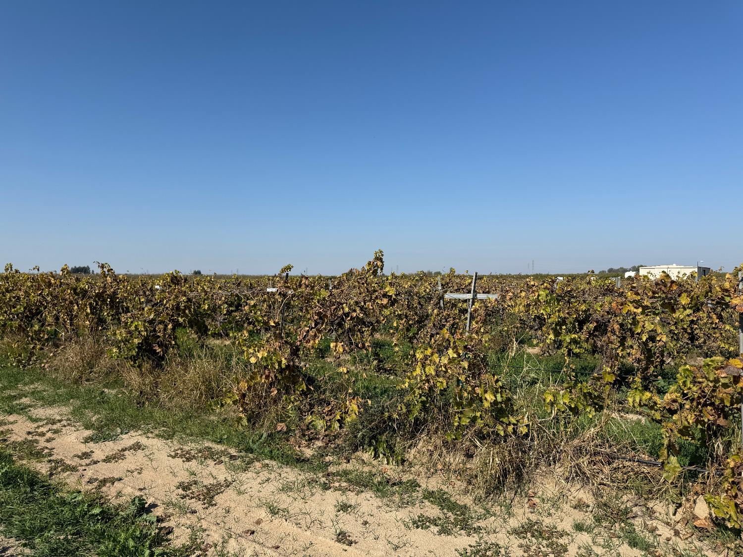 10285 S Orange Ave, Fresno, CA 93725