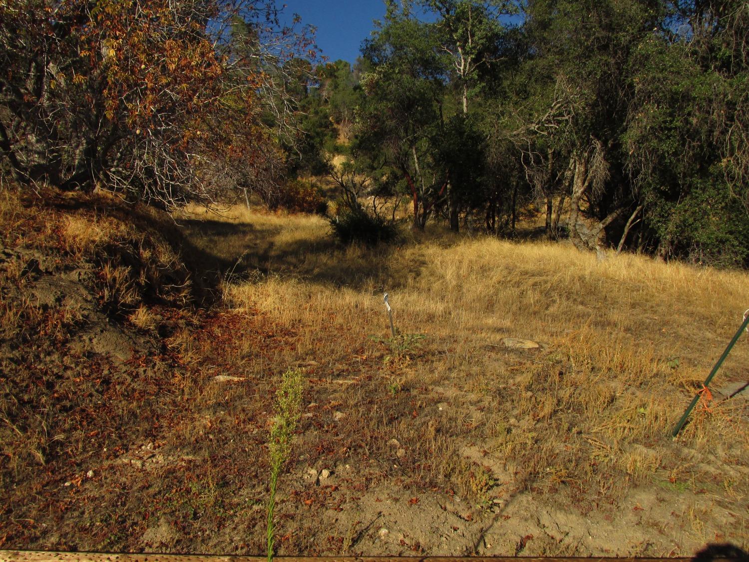 2 Ac Old Oaks Ct, North Fork, CA 93643