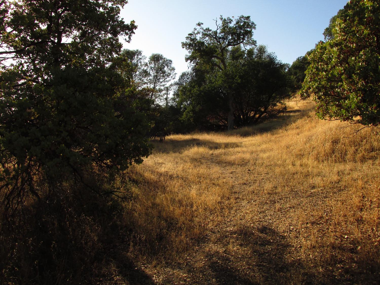 2 Ac Old Oaks Ct, North Fork, CA 93643