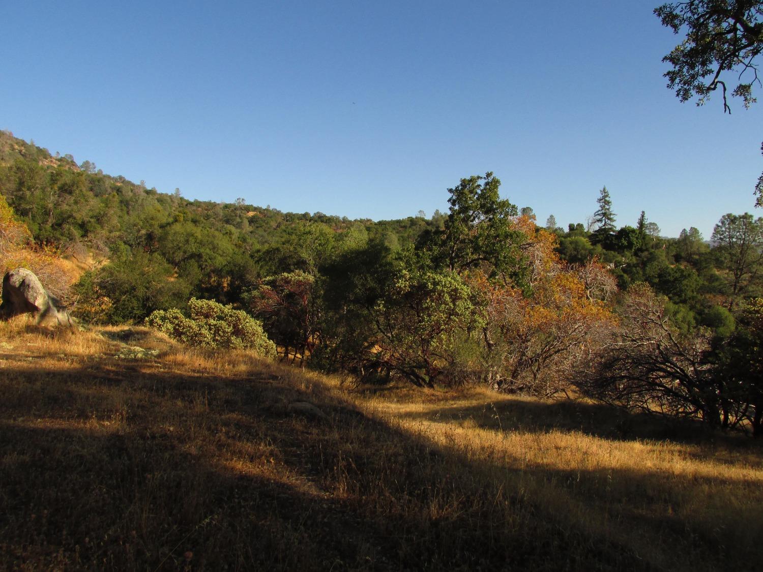 2 Ac Old Oaks Ct, North Fork, CA 93643