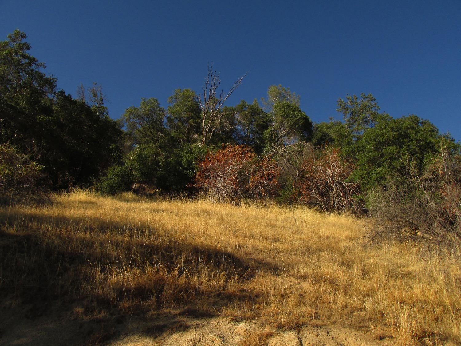 2 Ac Old Oaks Ct, North Fork, CA 93643